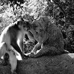 Profile Picture of Blassel Philippe (@blasselphilippe) on Instagram