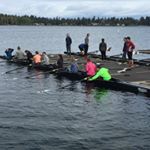 Profile Picture of Addison McDivitt (@rower_reader_skier) on Instagram