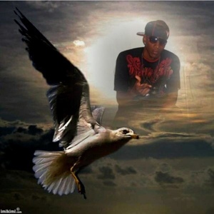 Profile Picture of David Calixte (@320790925) on Myspace