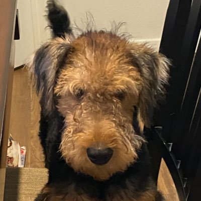 Profile Picture of Mark Mingo (@MarkMingo5) on Twitter