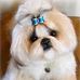 Profile Picture of Isabel Loeb (@isabel.loeb.5) on Facebook