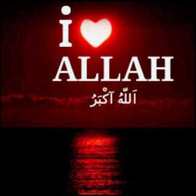 Profile Picture of I Love Allah (@Iloveal51249708) on Twitter