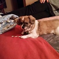 Profile Picture of Rose Conjar (@rose-conjar) on Quora