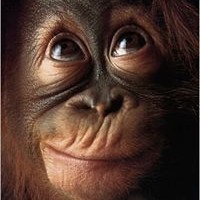 Profile Picture of Shawn Funk (@shawn-funk-1) on Quora