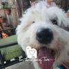 Profile Picture of nancyhelmickirepk (@nancyhelmickirepk) on Tiktok