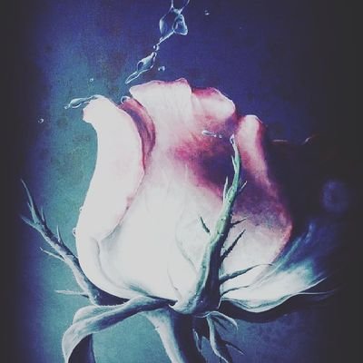 Profile Picture of Shyann Rose (@ShyannRose9) on Twitter
