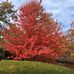 Profile Picture of Deb Fitzsimmons (@deb.fitzsimmons.737) on Facebook