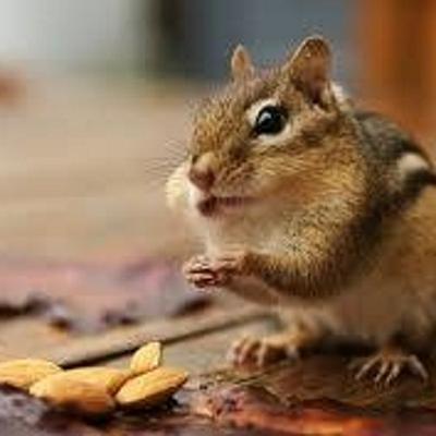 Sam Teague - Twitter Profile Picture of Sam Teague (@Sam_Leonard98) on Twitter