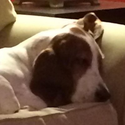 Profile Picture of Ian Poole (@ianstein29) on Twitter