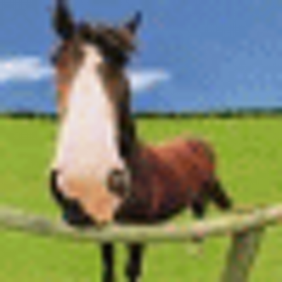 Profile Picture of Calvin Hale (@hhxassanm) on Twitter