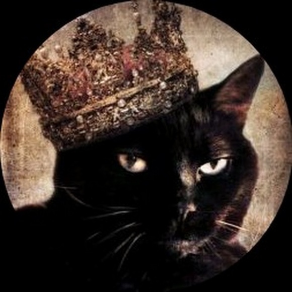 Domina Sphinx - Poshmark Profile Picture of Domina Sphinx (@dnasphinx) on Poshmark