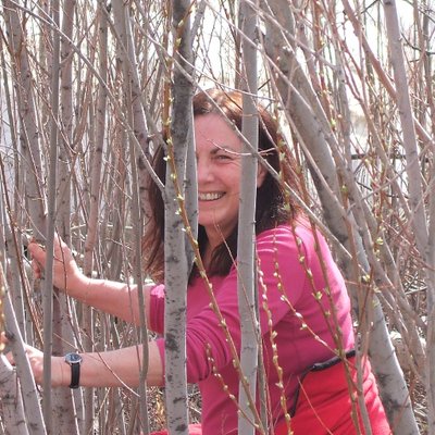 Profile Picture of Elaine Harris (@ElaineHarris16) on Twitter
