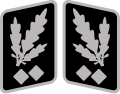Profile Picture of Obergruppenführer - Wikipediaon Wikipedia