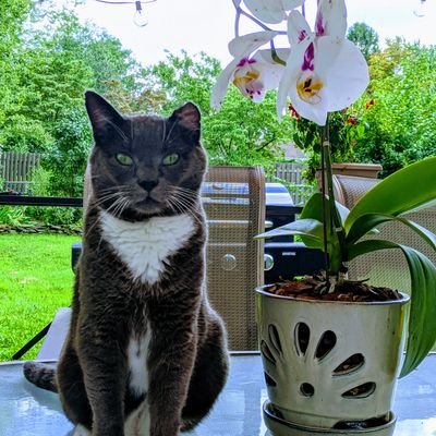 Profile Picture of Bootz (@BootieDaCutie) on Twitter
