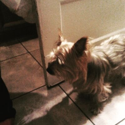 Profile Picture of Terrell Wright (@tmoney9880) on Twitter