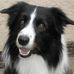Profile Picture of Donna Overton (@donna.overton.16) on Facebook