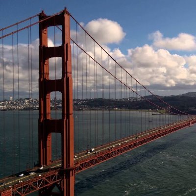 Profile Picture of Ann Larson (@plyars) on Twitter