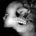 Profile Picture of Jeremy Hoople (@JeremyHoople) on Pinterest
