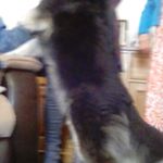 Profile Picture of Patrick-james filmer (@kcirfap81) on Instagram