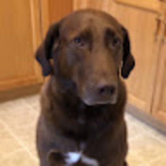 Jocelyn Fourrier - Poshmark Profile Picture of Jocelyn Fourrier (@jocelynfourrier) on Poshmark