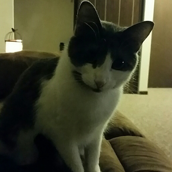 Profile Picture of Becky Mierau (@rmierau) on Poshmark