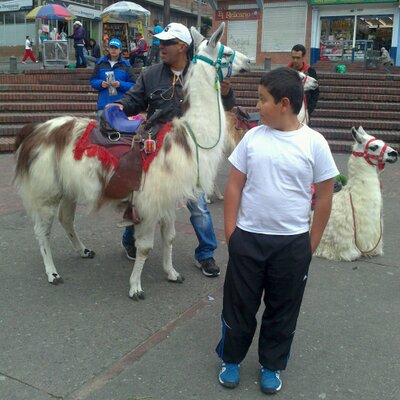 Profile Picture of Thomas Quintero (@Thomasyto12) on Twitter