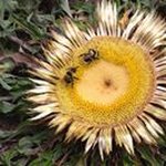 Profile Picture of Claude Darrason (@claudedarrason) on Instagram