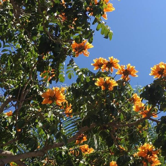 Profile Picture of Laura Mutchler (@lellen796) on Poshmark