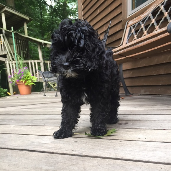 Profile Picture of Julie Husey (@hussejul) on Poshmark