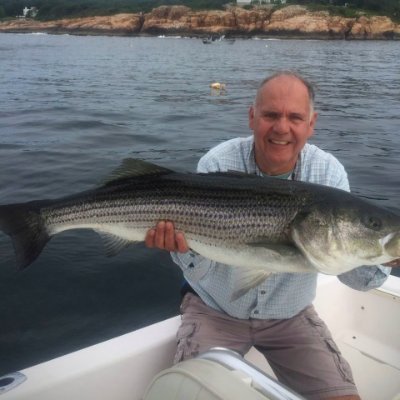 Profile Picture of Peter Willett (@PeterWillett8) on Twitter