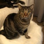 Profile Picture of Caleb Scates (@cscates_) on Instagram