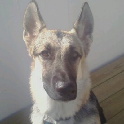 Profile Picture of Mike Clouser (@Mike21268) on Twitter