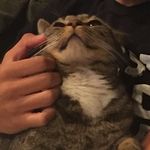 Profile Picture of The Real Matty B(Matt Linares) (@matt.benjaminnspam) on Instagram