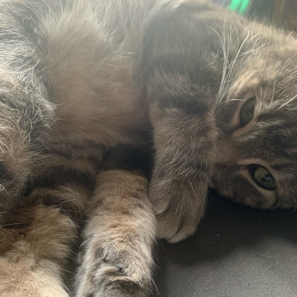 Profile Picture of Kelsey Stranberg (@kelseystranberg) on Poshmark