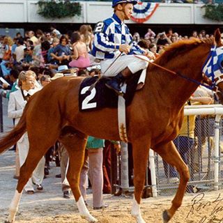 Profile Picture of David Hornsby (@david.hornsby.71) on Facebook