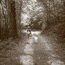 Profile Picture of Tori McHenry (@torimch) on Pinterest