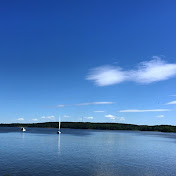 Profile Picture of Dan Liu (@danliu694) on Youtube