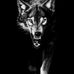 Profile Picture of Bubba Conner (@bubba.conner.77) on Facebook