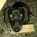 Profile Picture of Sandra Armbruster (@sa.armbruster) on Facebook