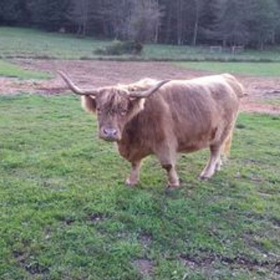 Profile Picture of Jon Holmen (@jonathonholmen) on Twitter