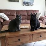 Profile Picture of Lisa Buse (@ljbuse) on Instagram