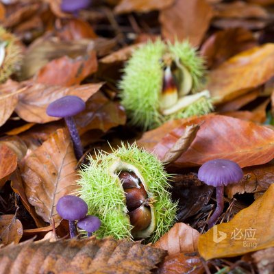 Profile Picture of Hope_Liu (@liu_yanxia2088) on Twitter