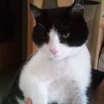 Profile Picture of Bianca Serrano (@bianca.serrano.1656) on Instagram