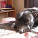 Profile Picture of Darcy Gibbs (@darcy.gibbs.75) on Facebook