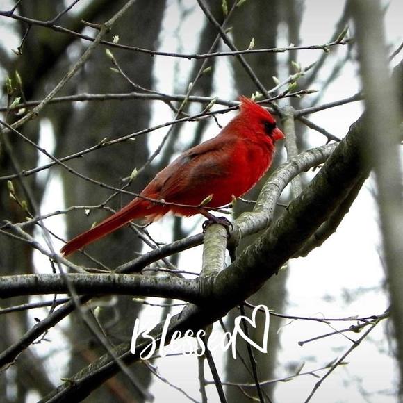 Profile Picture of Ralph n robyn Gentles (@lovemorejewelry) on Poshmark