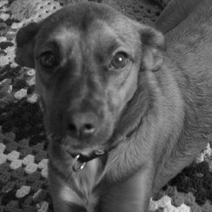 Profile Picture of Bobbie Andrews (@thebobonator) on Myspace