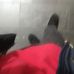 Profile Picture of Mark Barto (@mark.barto.311) on Facebook