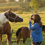 Profile Picture of Sarah Zimmerling (@sarahzimmerling) on Flickr