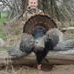 Profile Picture of Cooper Bailey (@cooper.bailey.5070) on Facebook