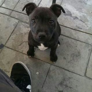 Profile Picture of Benny Doe (@BenjaminDoe29) on Twitter